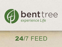 Bent Tree