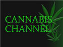 Cannabis Channel
