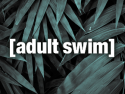 adult swim on roku