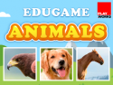 Animals EduGame