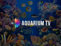 AquariumTV