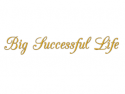 Big Successful Life