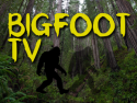 Bigfoot TV