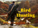 Bird Hunting Screensaver