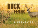Buck Fever Screensaver