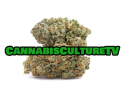 Cannabis Culture TV