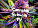 Cannabis Network Tv on Roku