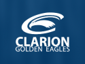 Clarion Golden Eagle Vision