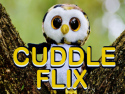 Cuddle Flix
