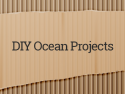 DIY Ocean Projects