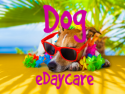 Dog eDaycare