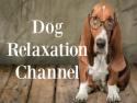 Dog Relaxation Channel