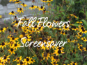 Fall Flowers Screensaver