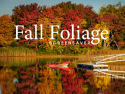 Fall Foliage Screensaver on Roku