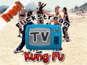 FlickstreamTV-KungFu