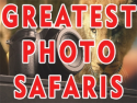 Greatest Photo Safaris