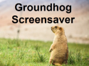 Groundhog Screensaver