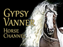 Gypsy Vanner Horse Channel