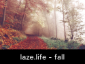 laze.life - fall
