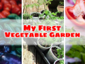 My First Vegetable Garden