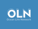 Ocean Life Network