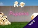 Puppies Theme