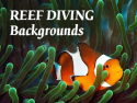 Reef Diving Backgrounds
