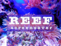 Reef Screensaver