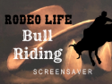 Rodeo Life - Bull Riding