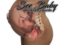 See Baby Pregnancy Guide on Roku