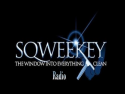 Sqweekey Radio ( Detroit )