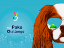 The Poko Challenge