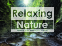The Relaxing Nature