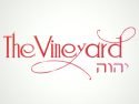 The Vineyard jc