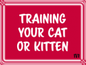Training Your Cat or Kitten