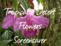 Tropical and Desert Flowers
