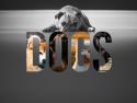 U - Dogs