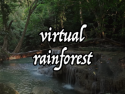 Virtual Rainforest