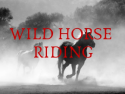 Wild Horse Riding