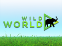Wild World - Animal TV