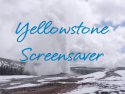 Yellowstone Screensaver