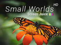 ScreenJuice Macro