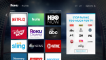 Hockey Rink Theme on Roku