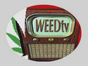 WEEDtv