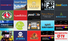 New Roku Channels - January 17, 2014