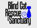 Blind Cat Rescue Blind Cat Rescue