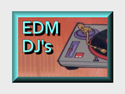 EDM DJ's
