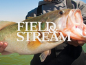 Field & Stream