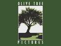 Olive Tree Pictures Olive Tree Pictures