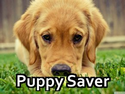 Puppy Saver